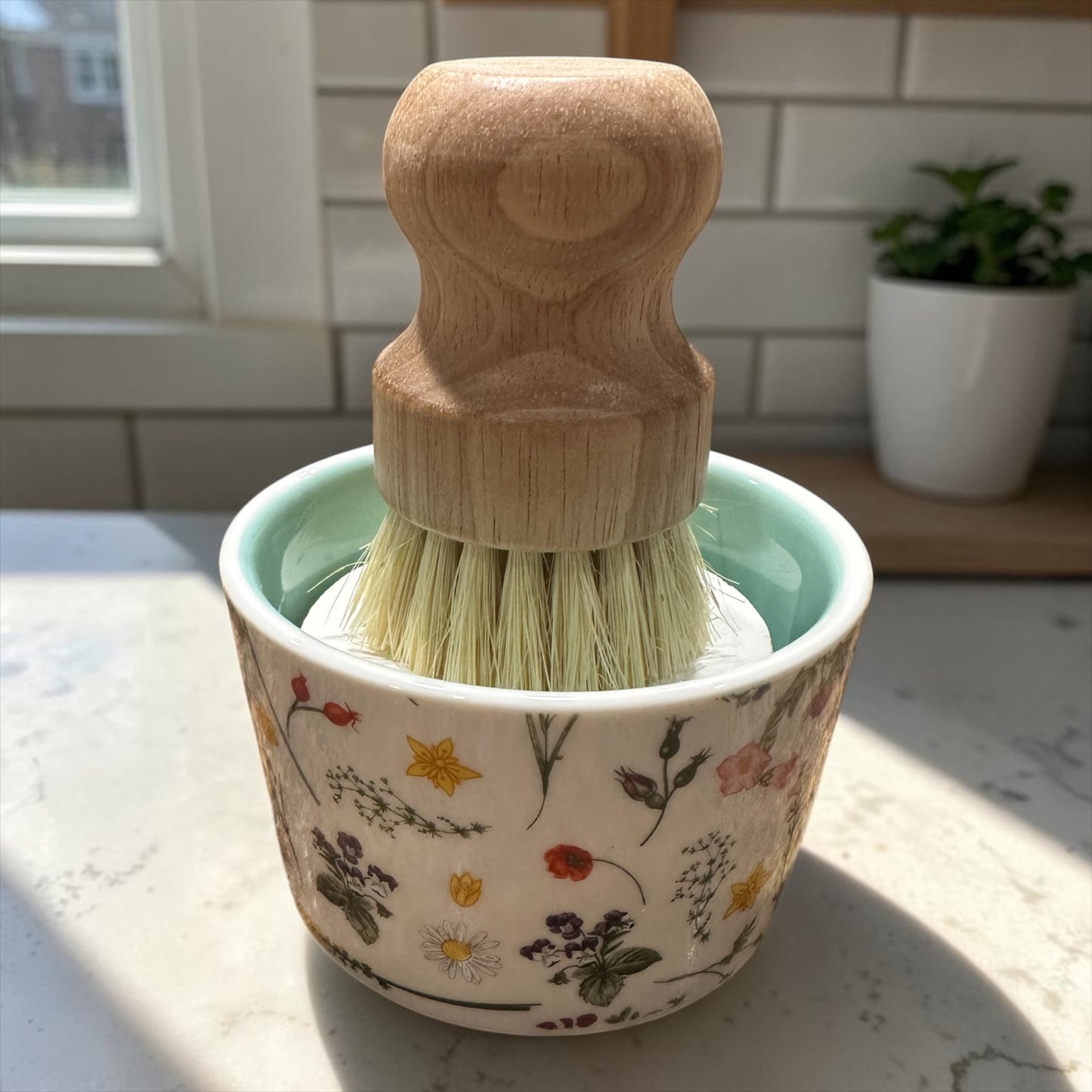 All Natural Solid Dish Soap Set