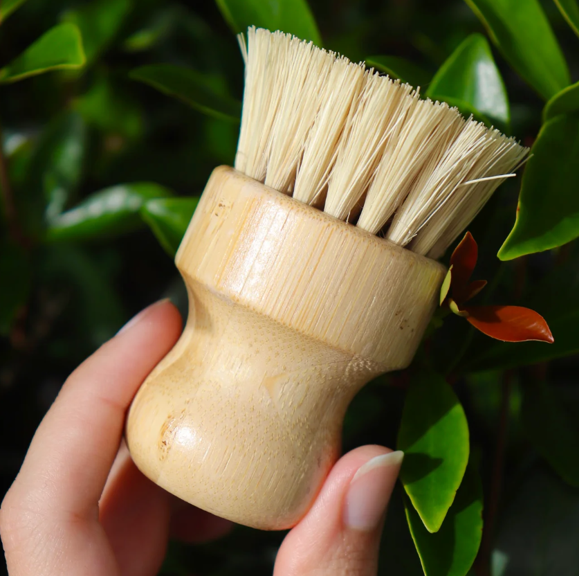 Bamboo Dish Brush