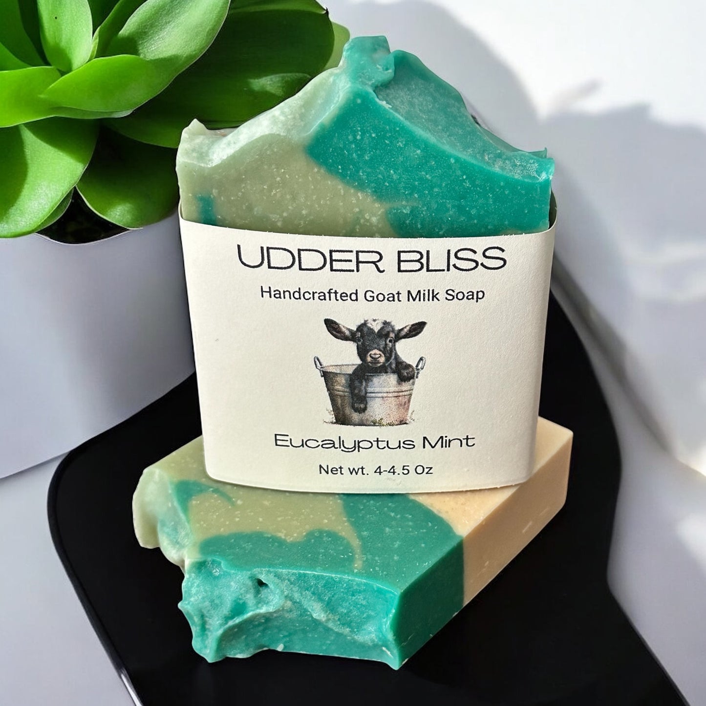 Eucalyptus Mint Goat Milk Soap