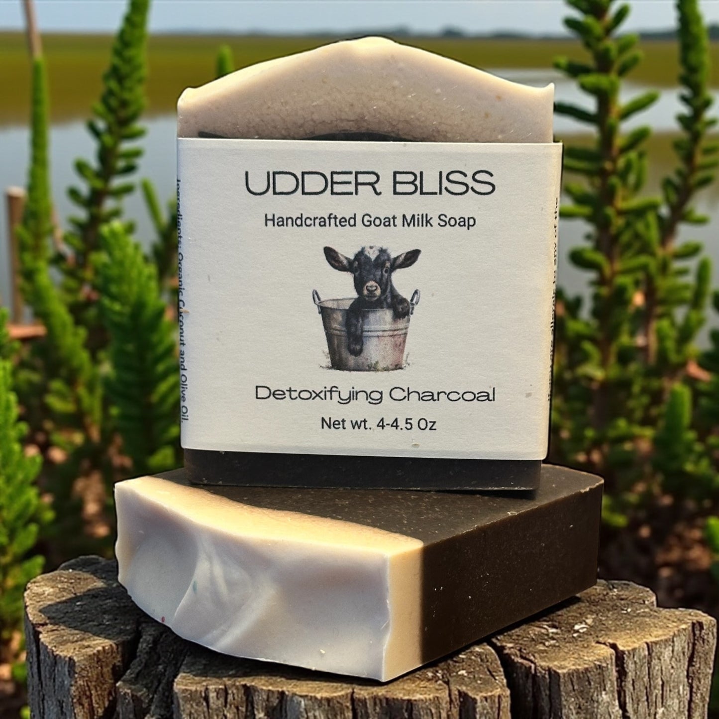 Detoxifying Charcoal Goat Milk Soap