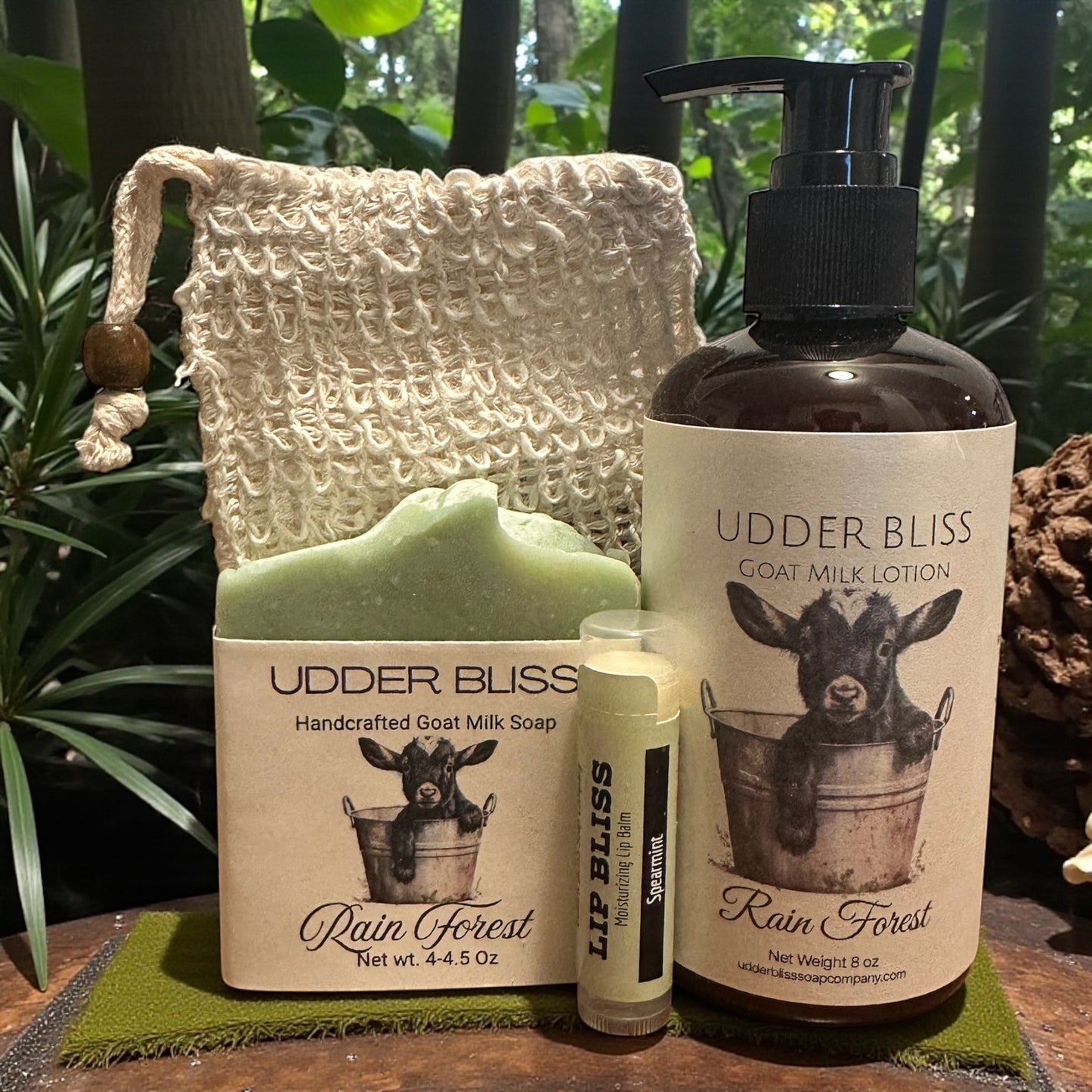 Rain Forest Gift Set