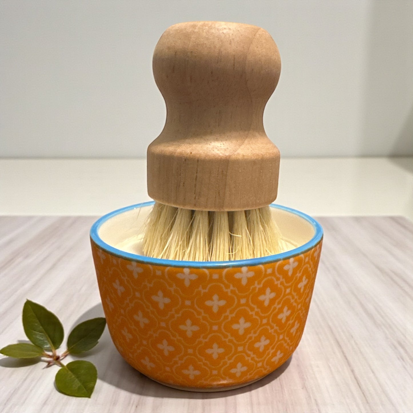 All Natural Solid Dish Soap Set