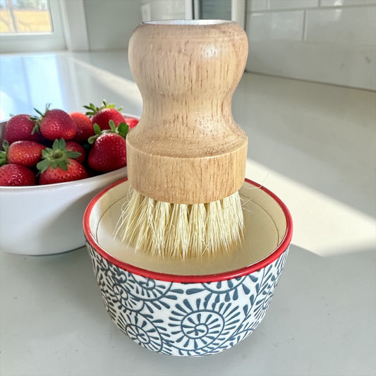 All Natural Dish Soap Set